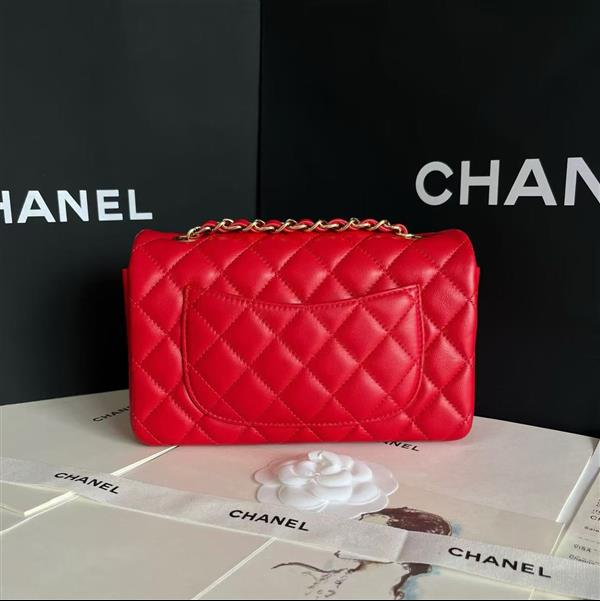 2026127205646799 380